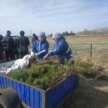 В Чистопольском районе посадили деревья