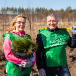 Почти 1000 человек приняли участие в восстановлении  зеленых насаждений в Тольятти