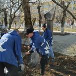 Уборка территорий, благоустройство социальных учреждений, высадка деревьев: «Единая Россия» вышла на субботники