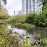 Работы по расчистке реки Борзовки начались в Нижнем Новгороде