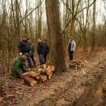 Курские молодогвардейцы приняли участие в заготовке дров