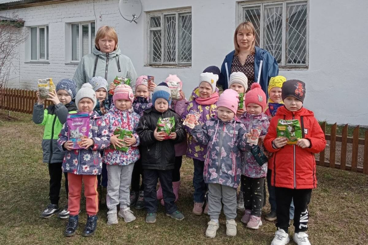 Воспитанники детского сада «Сказка» в Пижанке собрали корм для бездомных животных
