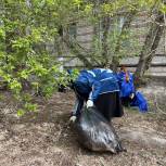 «Единая Россия» в Кизляре присоединилась к Всероссийской акции по уборке территорий социальных учреждений