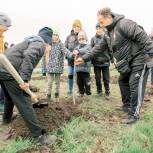 Московские единороссы приняли участие в озеленении парка им. Гурова в Мариуполе
