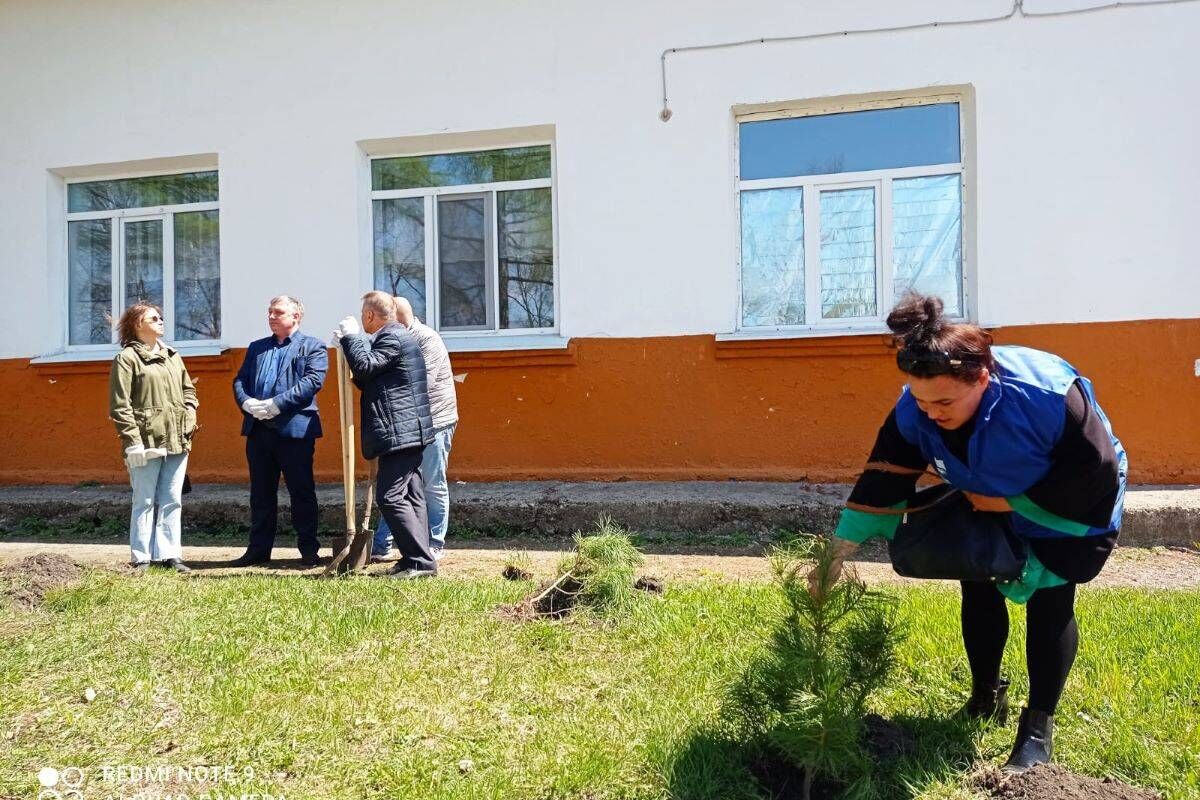 На территории коррекционной школы в Раздольном высадили деревья