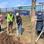 Татьяна Буцкая вместе с москвичами посадила деревья в сквере в Новокосино