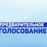 Более 190 кандидатов зарегистрировались на предварительное голосование «Единой России»
