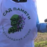 В парке Щербакова ДНР при поддержке «Единой России» прошла акция «Сад памяти»