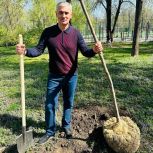 Депутат «Единой России» Ашот Хбликян принял участие в озеленении парка имени Чуковского