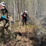 В Екатеринбурге при содействии «Единой России» открывают набор волонтёров для тушения природных пожаров