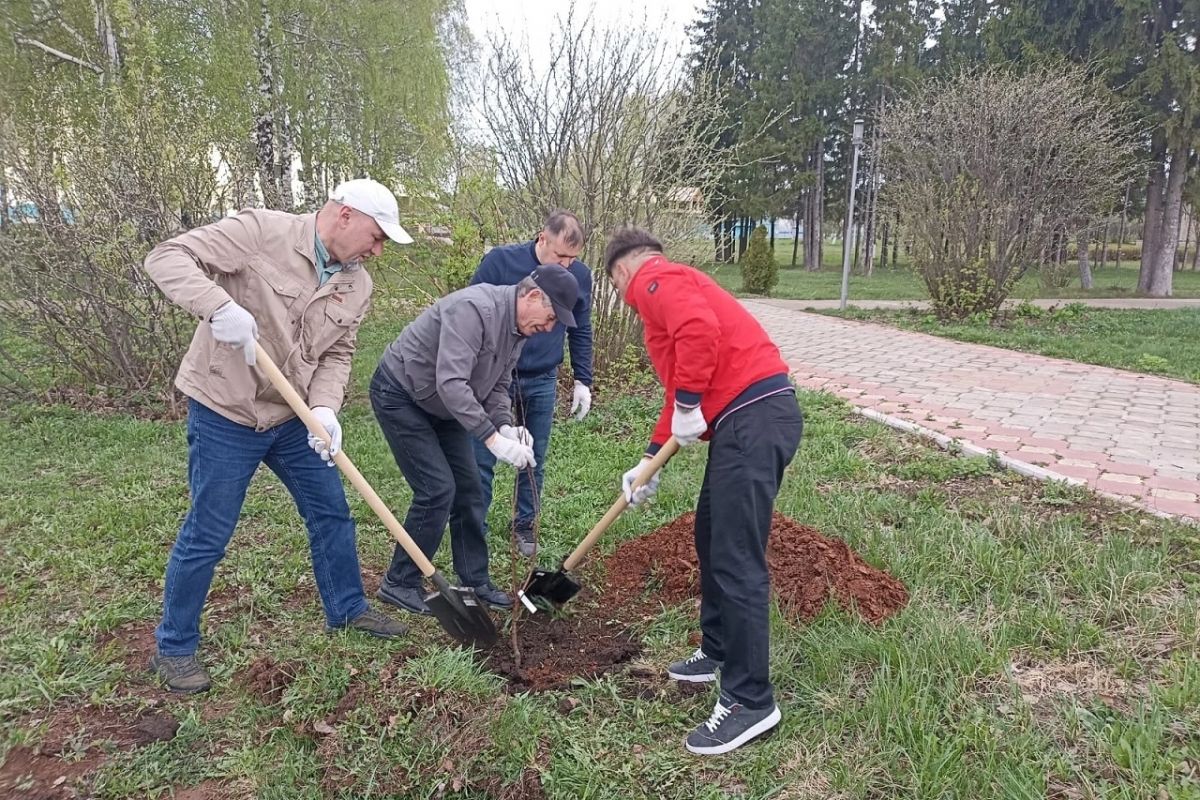 В кукморских парках посадили саженцы деревьев