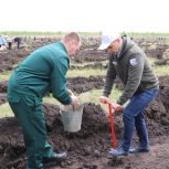 В Добровском округе высадили геоглиф в виде герба Липецкой области