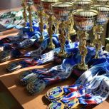 В Орле при поддержке «Единой России» состоялся Всероссийский юношеский турнир по самбо