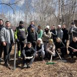 Уборка территорий памятников и высадка деревьев: «Единая Россия» в регионах организовала субботники