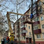 Людмила Шашенкова продолжает работу в рамках народной программы «Единой России»