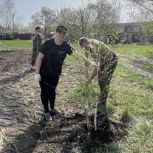 «Единая Россия» приняла участие в озеленении районов Ростовской области