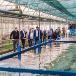 Единороссы посетили предприятие по выращиванию осетра в пос. Рожково