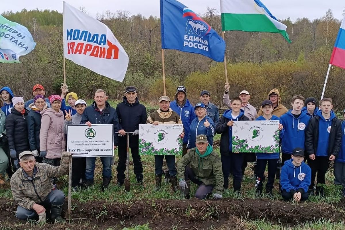 В Мишкинском районе присоединились к акции «Сад памяти»