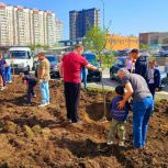 Советский район донской столицы присоединился к Дню древонасаждения