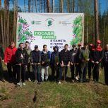 Чаплыгинские единороссы поддержали акцию «Сад Памяти»