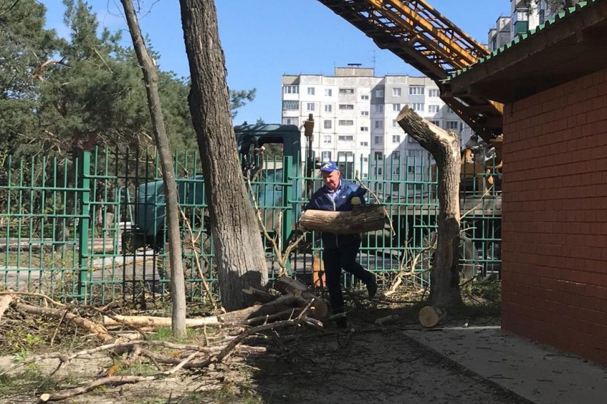 Курский единоросс в рамках народной программы помог спилить сухие и  аварийные деревья на территории детского сада