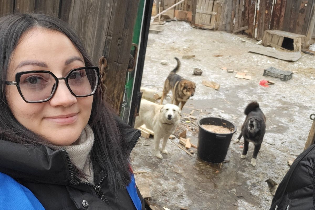 Активисты Карабашского местного отделения партии передали помощь приюту для животных