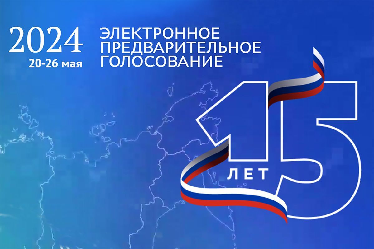 Николай Воробьев: Предварительное голосование «Единой России» в электронном  формате обеспечивает максимальную открытость процедуры