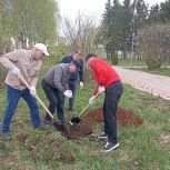 В кукморских парках посадили саженцы деревьев