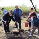 Единороссы высадили Сад Памяти в честь участников Великой Отечественной войны в Антраците