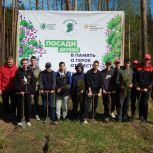 В Липецкой области активисты «Единой России» приняли участие в посадке деревьев