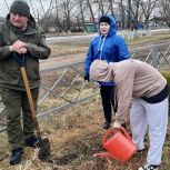В рамках акции «Сады Победы» в Троицком районе высажено четыреста саженцев сибирской сосны
