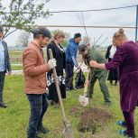 В Наурском районе «Единая Россия» провела акцию «Цветущий май» для старшего поколения