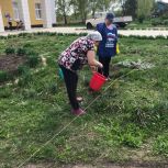 Активисты «Единой России» Сараевского и Сапожковского районов присоединились к международной акции «Сад памяти»