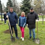 «Единая Россия» присоединилась ко Дню древонасаждения в Азове
