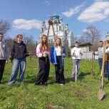 «Сад памяти»: В Беловодске высадили сто кустов роз и сто саженцев деревьев