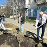Анна Гурарий совместно с Кировскими партийцами высадили саженцы яблонь