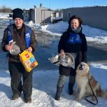 Активистки «Женского движения» оказали помощь приюту для бездомных животных в Нефтеюганском районе