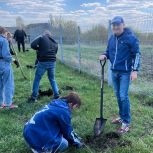 В Саратовской области в рамках акции «Сад памяти» сторонники «Единой России» высадили более тысячи деревьев