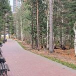 «Единая Россия»: Мини-роллердром появится в Сургуте