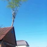 Единоросс Дмитрий Лепшеев помог семье участника СВО