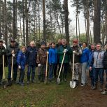 В парке посёлка ГЭС Набережных Челнов высадили 350 деревьев