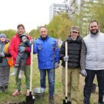 Московские единороссы высадили яблони вдоль деривационного канала в Покровском-Стрешневе