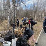 Центральные единороссы организовали уборку лесного массива