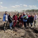 Активисты партии «Единая Россия» Троицкого городского округа провели экологическую акцию «Посади дерево!»