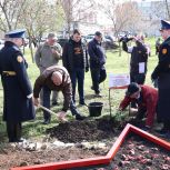 В преддверии 80-летия Великой Победы на Ставрополье высаживают «Сады памяти»
