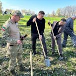Во всех районах Татарстана появились «Сады памяти»