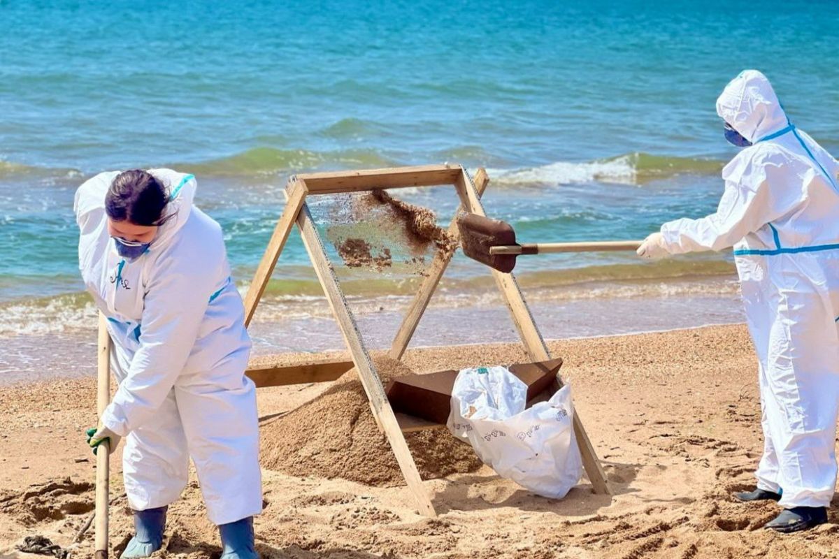 писающие на пляже