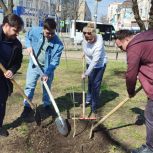 Сторонники партии «Единая Россия» в Энгельсе высадили деревья