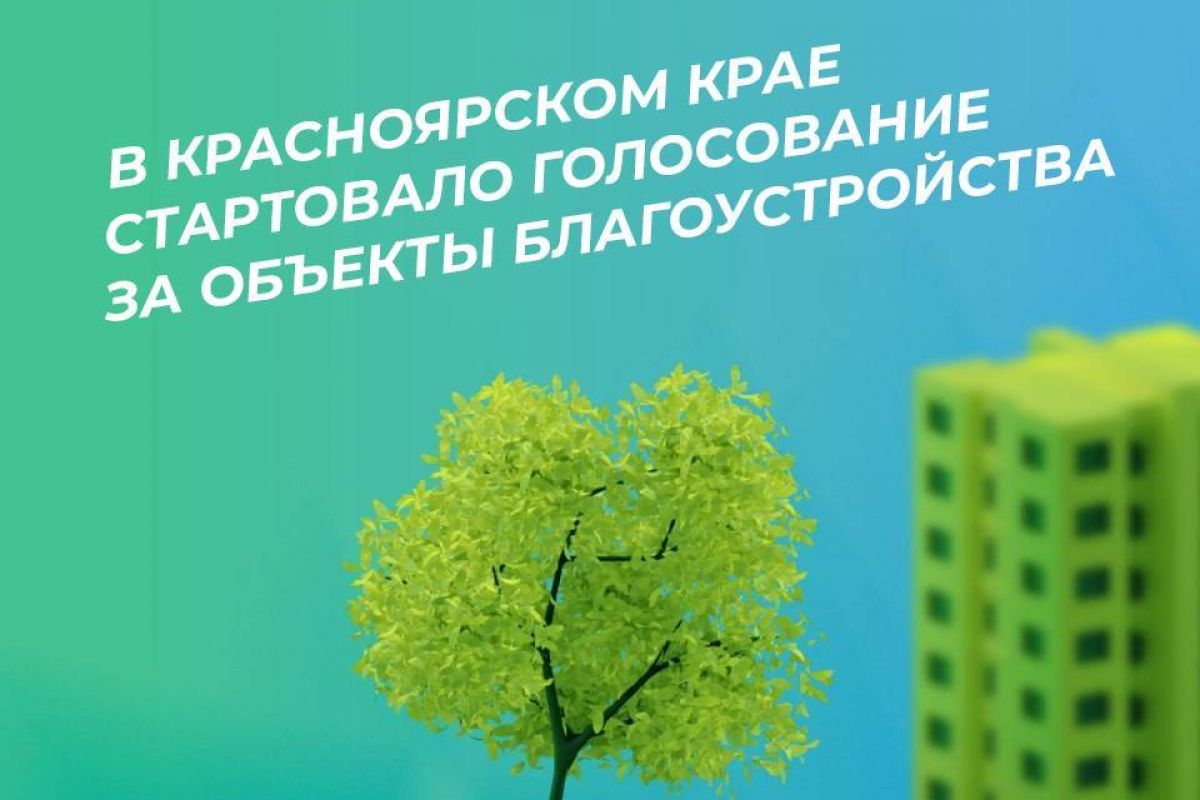 В крае стартовало голосование за объекты благоустройства по программе «Формирование комфортной городской среды»