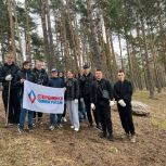 Сторонники Партии Выборгского района вместе со студентами провели субботник в поселке Подборовье